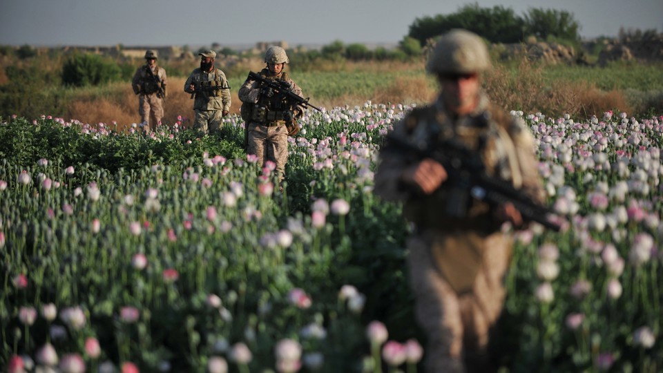 Members of the U.S. military walk through an opium poppy field in Helmand province, Afghanistan, in 2011. Nearly a decade into the war in Afghanistan, opium poppies are still the major crop for many farmers and a big source of income for the Taliban despite expensive efforts to stamp out cultivation.