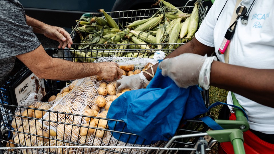 Two people's hands are seen reaching into a grocery cart full of potatoes, which stands next to another cart full of corn husks