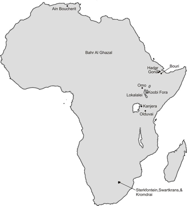 Oldowan chopper tool from Somaliland ; 1.7-2.6 million years ago; 1932.6240