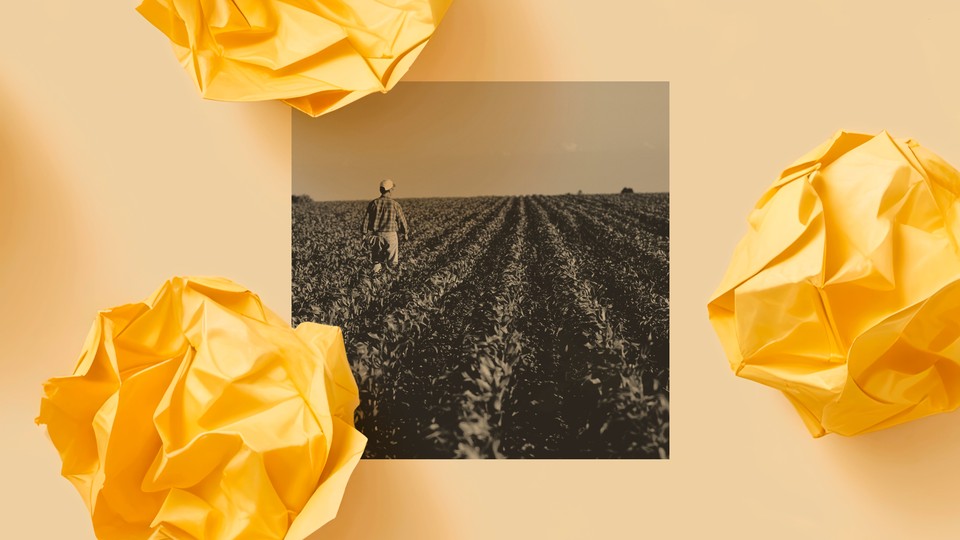A photo of a man standing in a crop field is surrounded by three balls of crumpled yellow paper.