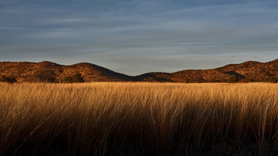 Grasslands in the San Rafael Valley near the U.S.-Mexico border