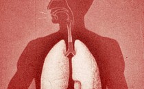 A sillouhette of a person in red, with lungs and esophogus, hiccups