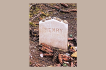 A photograph of Henry David Thoreau's gravestone