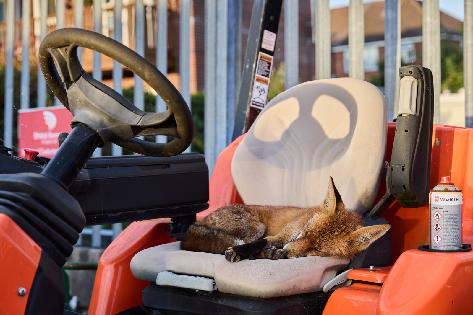 A fox sleeps on the seat cushion of an open tractor or riding lawnmower.