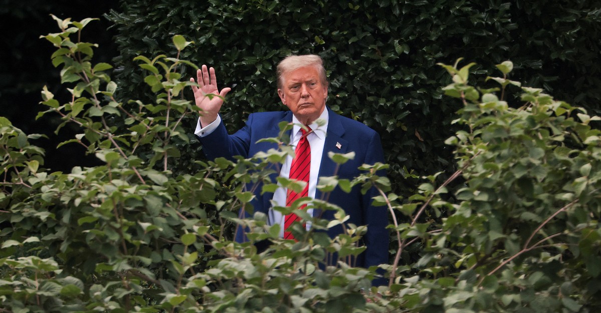 https://cdn.theatlantic.com/thumbor/g0zl9m2GeHd-ds7PJhzSgS7Ue_c=/0x83:2000x1125/1200x625/media/img/mt/2025/07/2025_07_24_Petri_Trump_Epstein/original.jpg