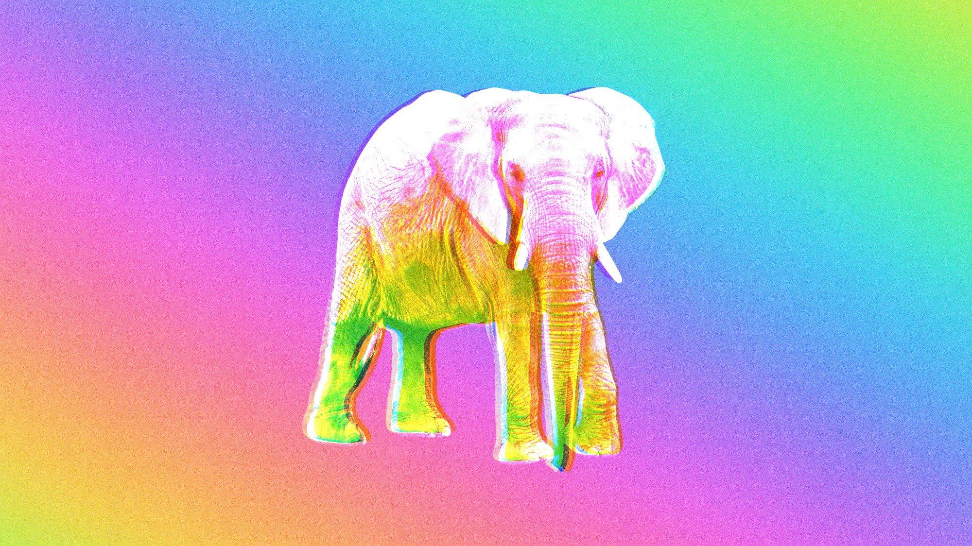 The Republican Psychedelics Whisperer