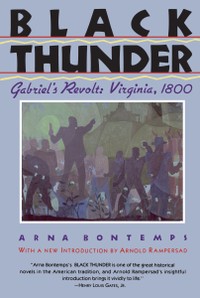 The cover of Black Thunder