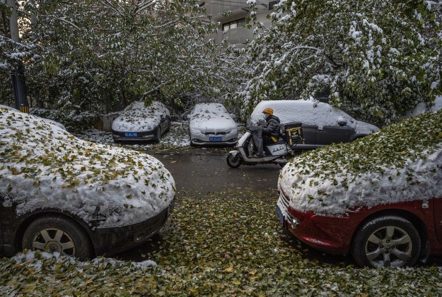Late autumn leaves sit atop snow which has fallen on cars parked in a city street.