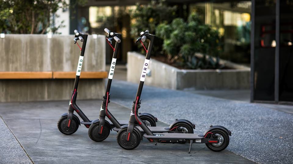 Three Bird electric scooters lined up on a sidewalk