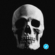 A photograph of a skull next to the blue "verified" checkmark logo from Twitter.