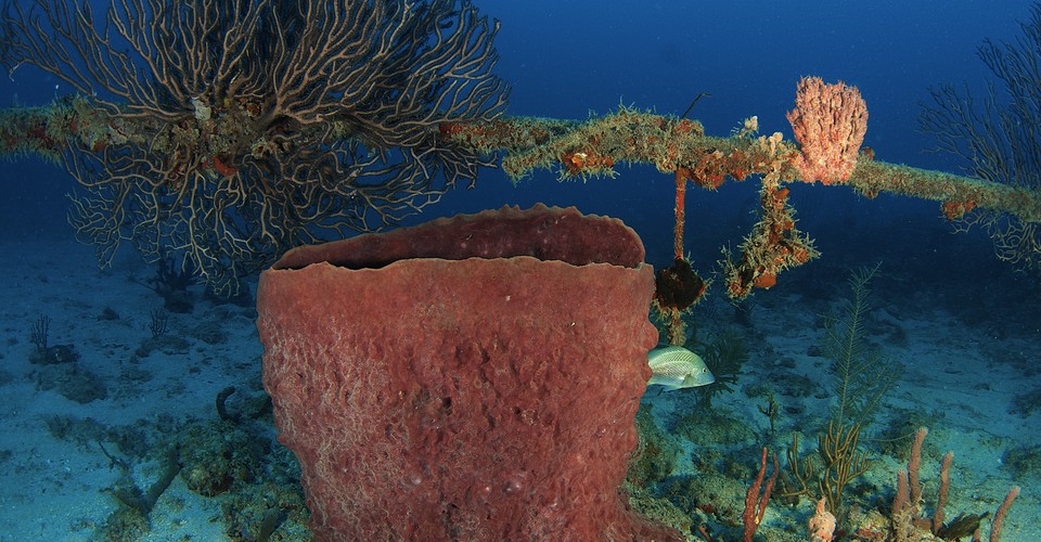 The Underwater Internet The Atlantic