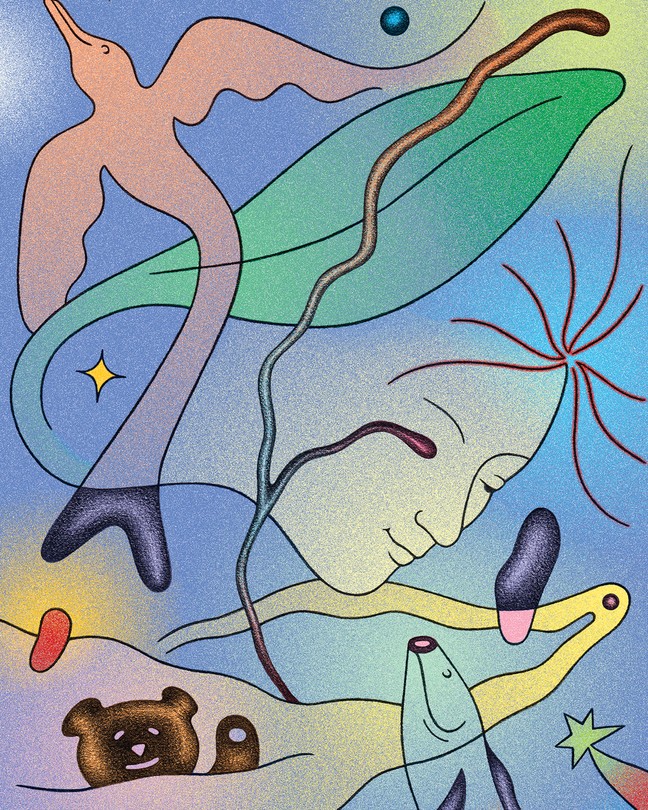 illustration of abstract colorful shapes including face, bird, fish, leaf, bear