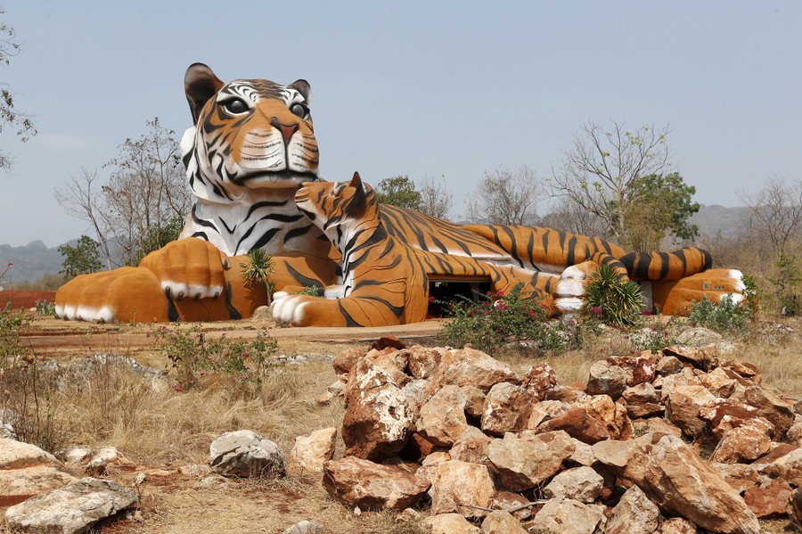 Tiger Temple Defends Abott as Authorities Find Fresh Evidence