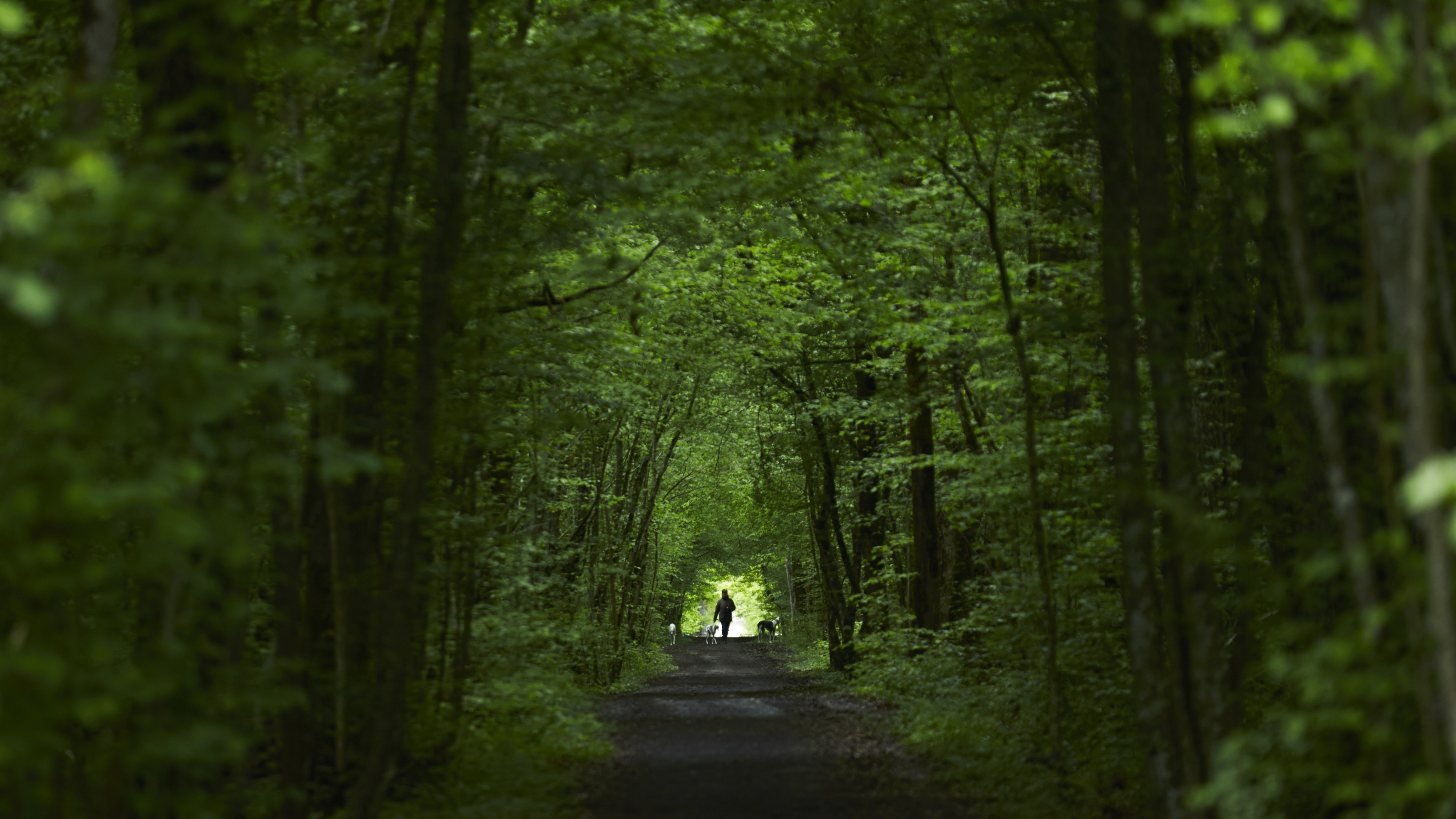 Why Adventure Matters