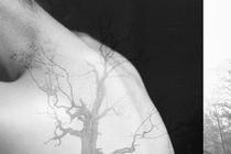 overlayed images of a woman's neck and back and trees, one in the center with gnarled branches