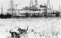 A black-and-white photo of two dogs playing in the snow, an abandoned power plant behind them