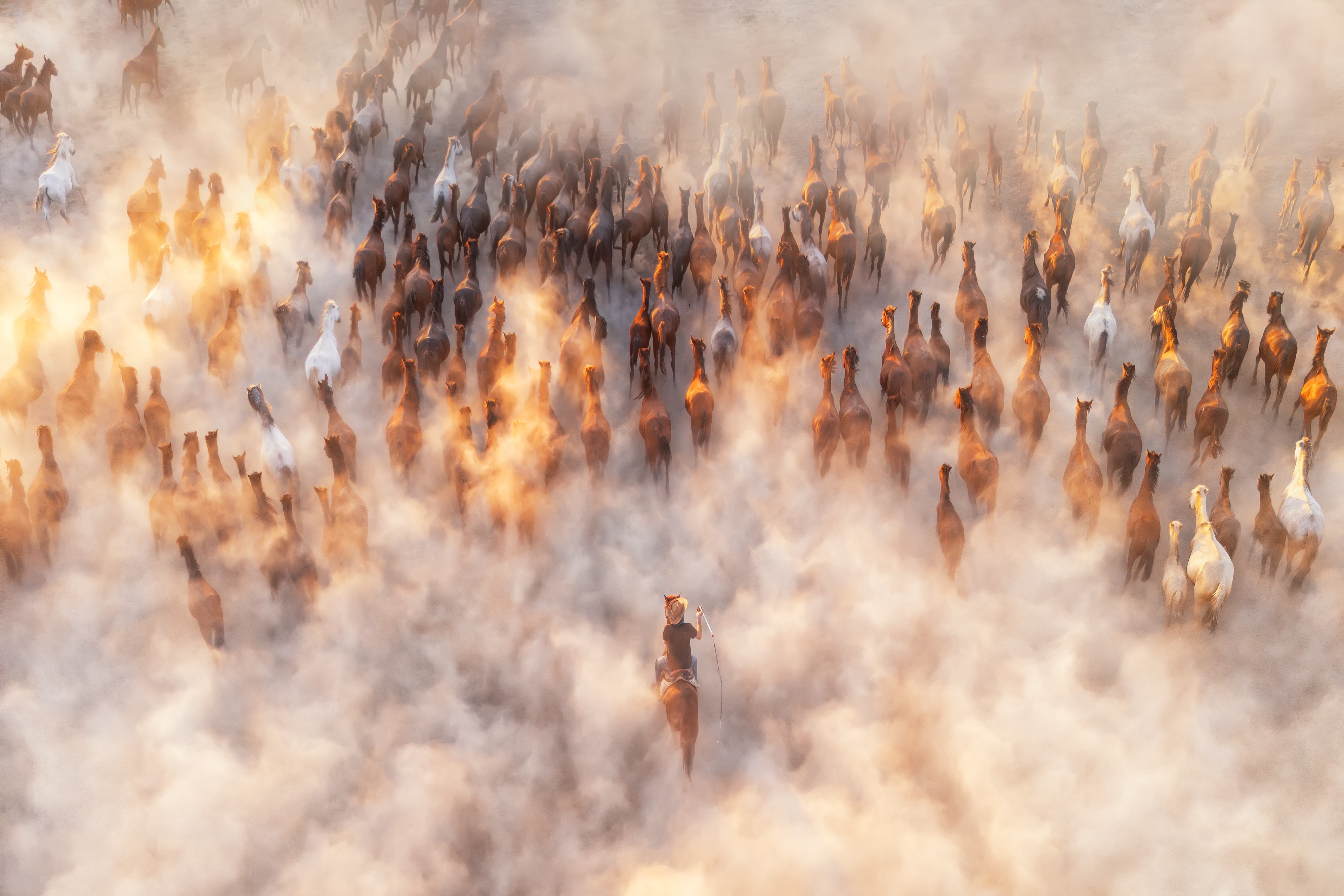 A view from above of a herd of horses being driven across dusty ground