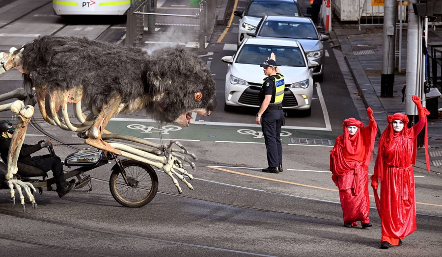 Protesters move down a street with a giant skeletal koala puppet.