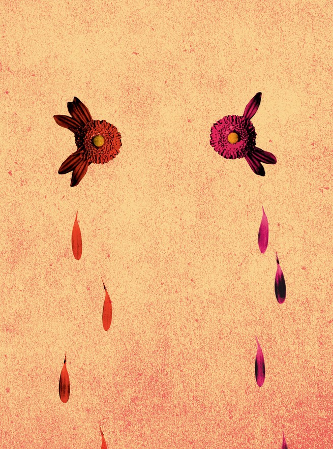 a red and a pink flower, both with yellow centers, side by side with a few petals left on them, with petals falling from both like tears