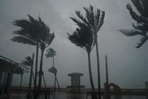 Hurricane Irma batters palm trees and a lifeguard hut in Hollywood, Florida