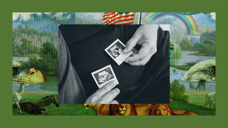 A pregnant person and their partner reflect on a sonogram of their baby. The image is set into a frame featuring The Experiment’s show art.
