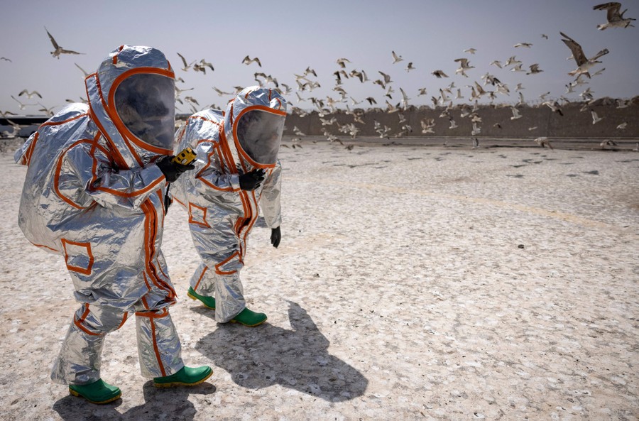Two people in oversize protective gear walk outside near a flock of gulls.