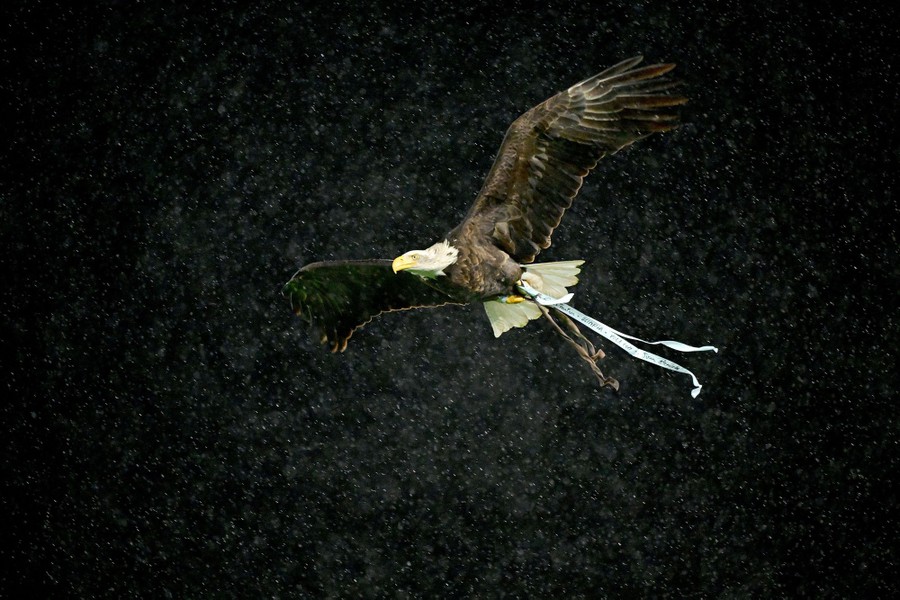 An eagle flies across a dark sky.