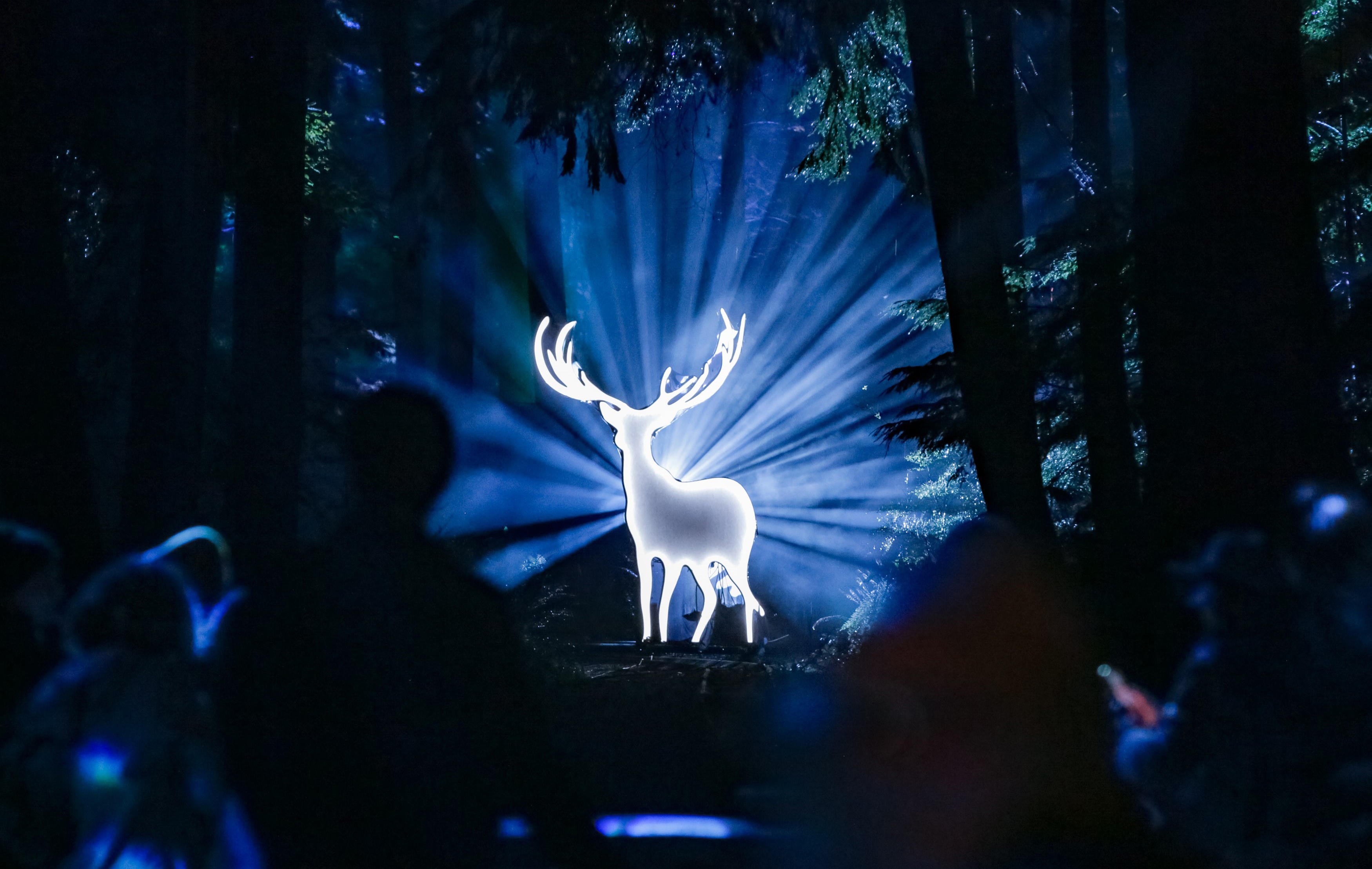 A life-sized cutout sculpture of a stag glows, surrounded by backlighting, displayed in a forest setting.
