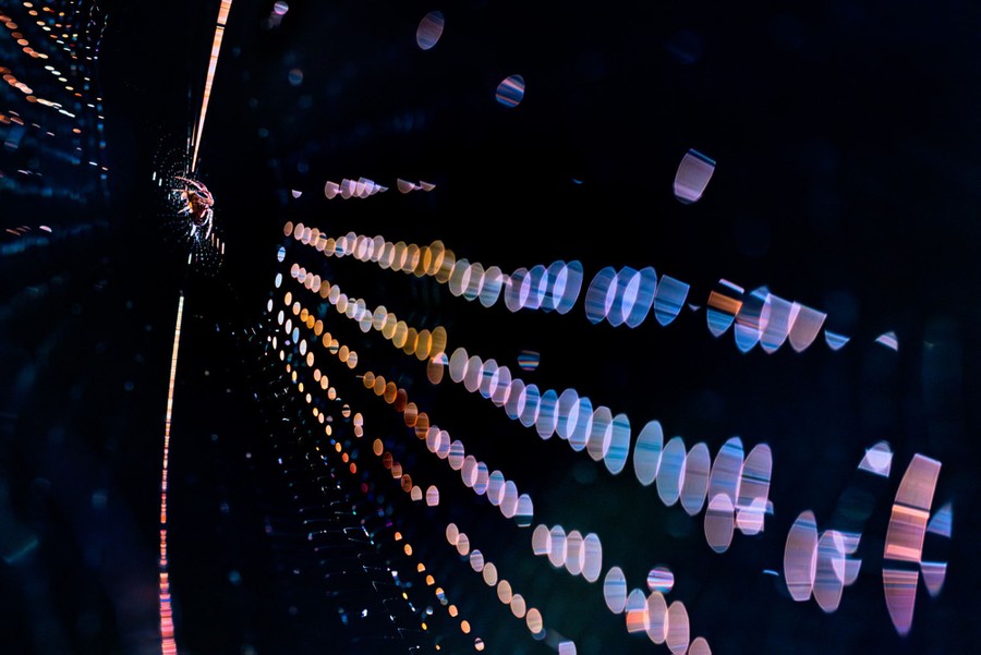 A close view of a spider in its web, with light reflecting from many web strands in a rainbow of colors
