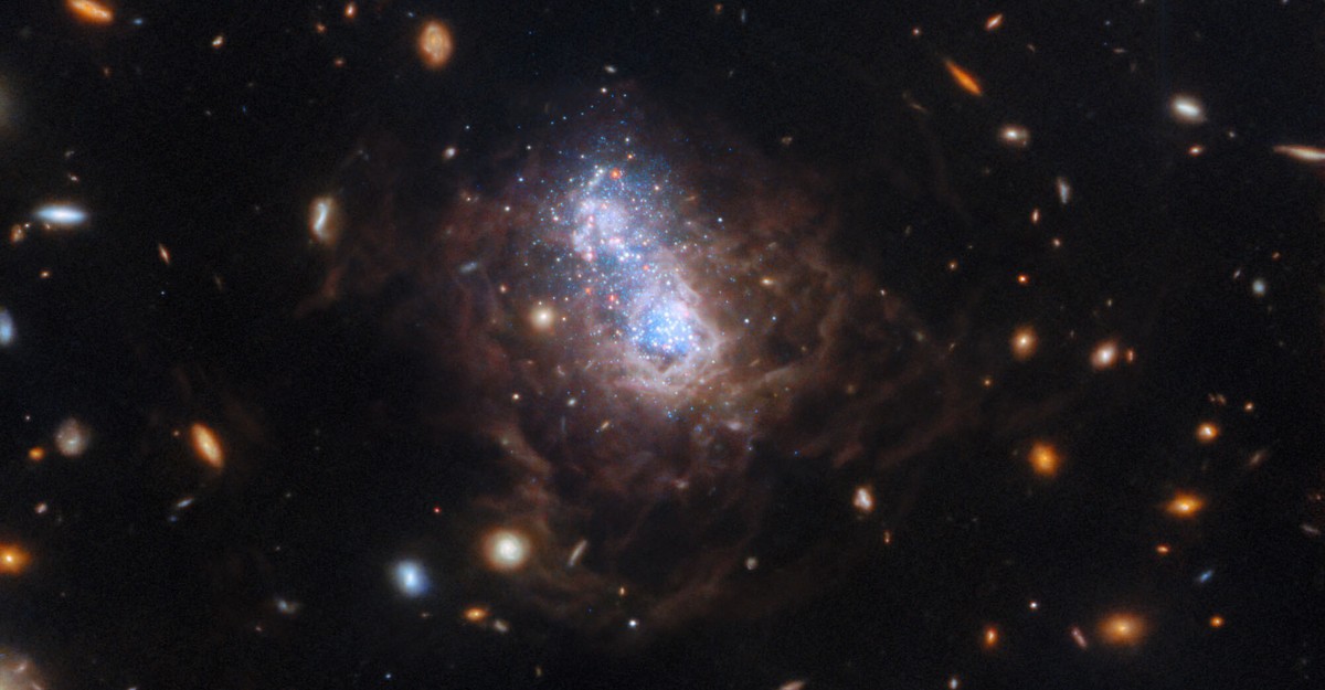 Day 17 of the 2025 Space Telescope Advent Calendar: Distant Starbursts