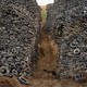 photo of enormous pile of discarded tires parted down the middle by dirt path with green hill just visible beyond