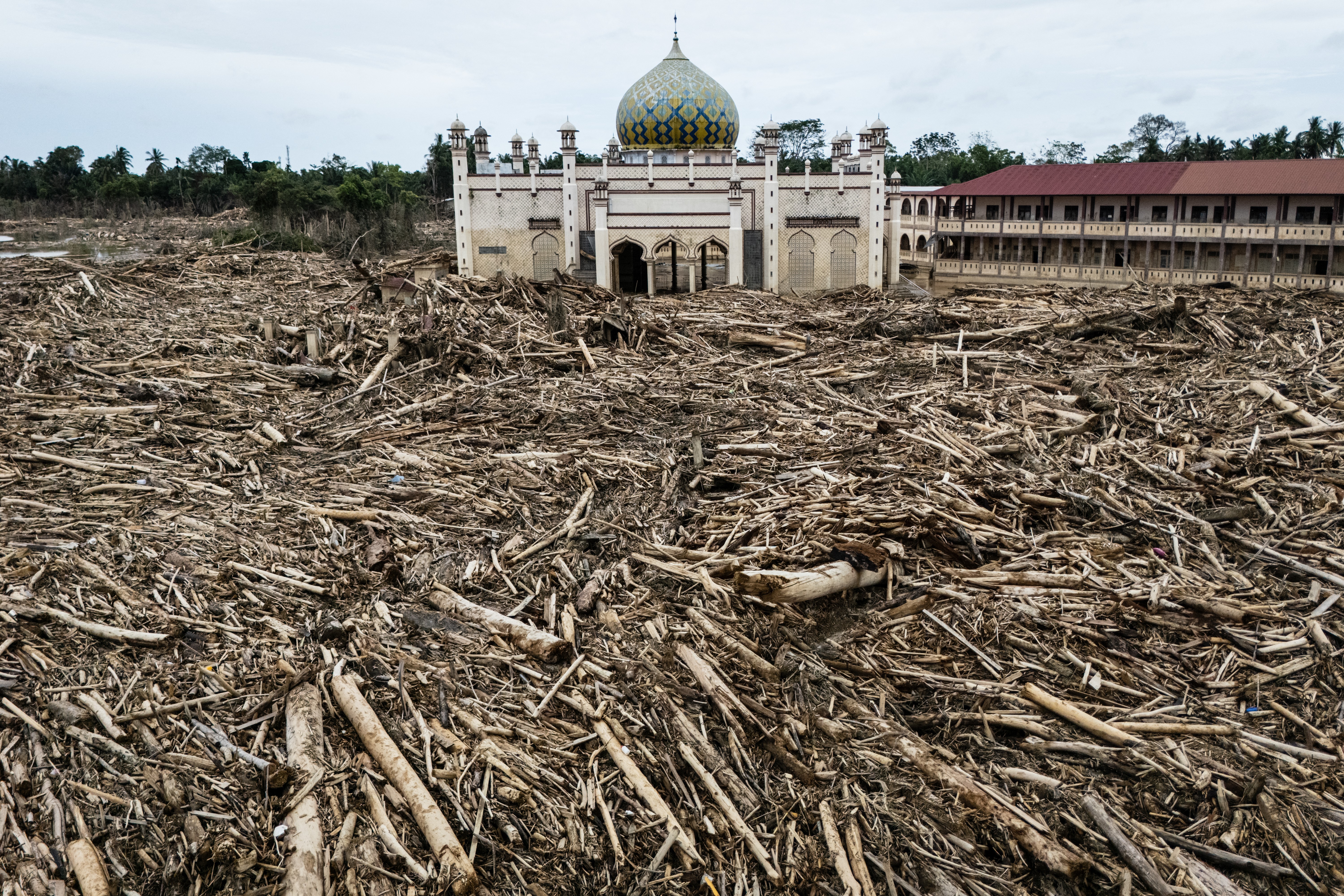 An aerial view shows piles of uprooted trees from a flash flood, surrounding a mosque.