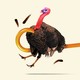 Turkey being yanked out of frame by a cane