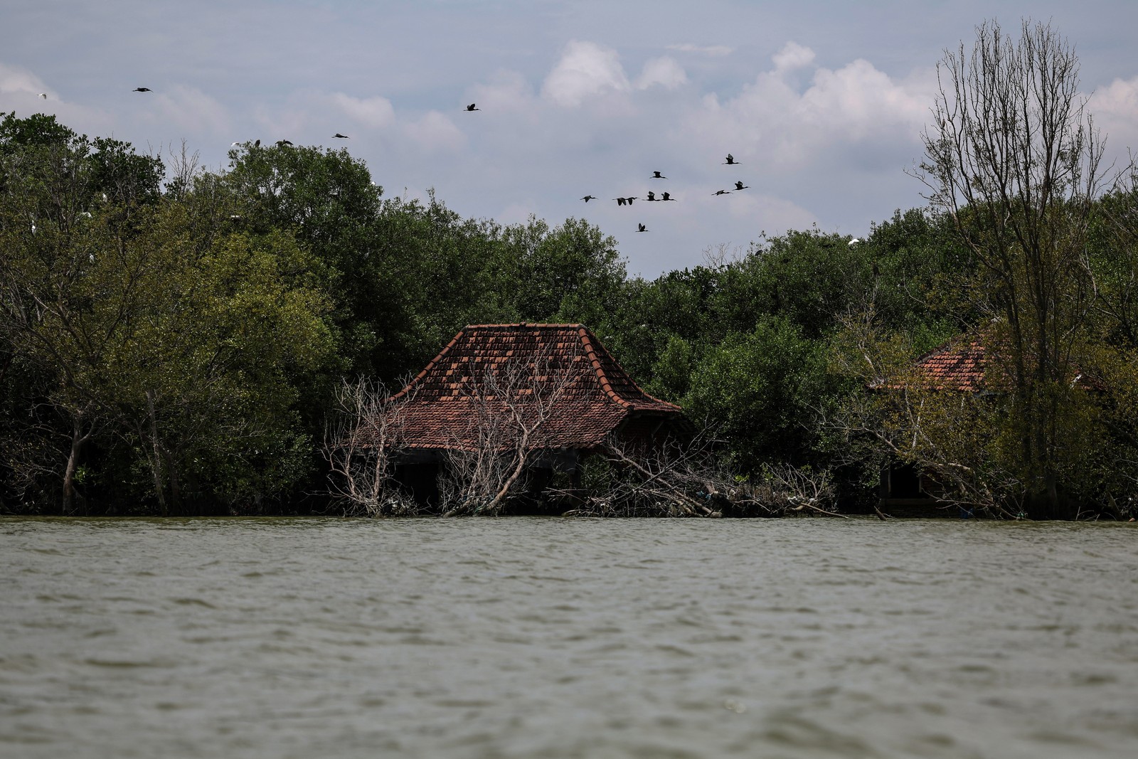 Damaged and abandoned houses stand among trees in a flooded area.