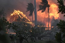 The roof of a structure burns with large flames visible, in the background as palm trees are blown by strong winds.