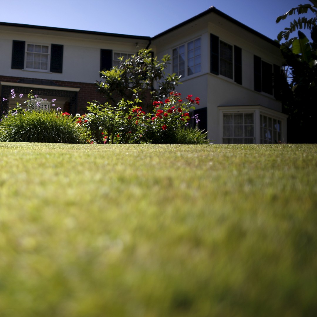As U.S. Homes Grow, Lawns Are Shrinking - The Atlantic