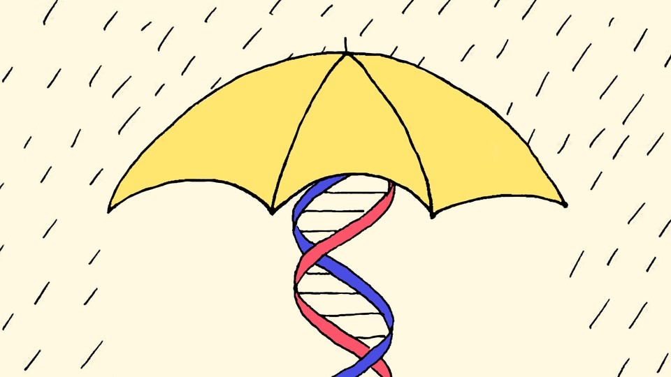 an illustration of an umbrella held up by a DNA helix