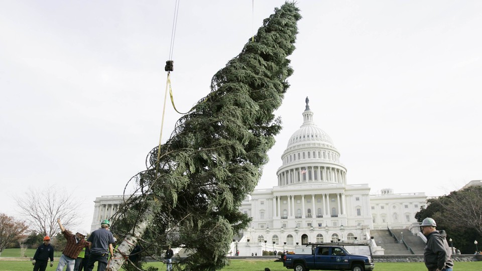 Workers try to stand up the Capitol Christmas tree in 2006.