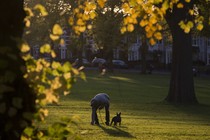 A person stoops to pick up their dog's waste in a park