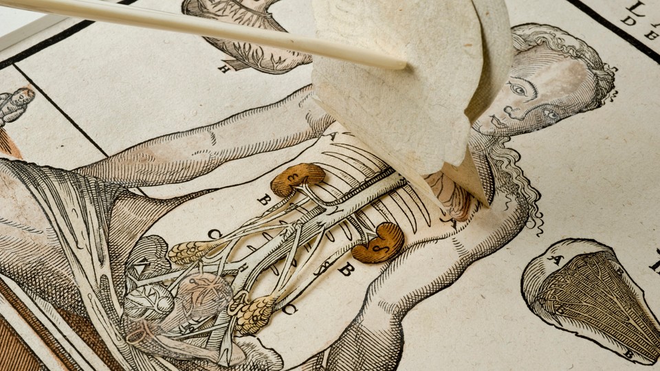 A fugitive sheet showing female anatomy