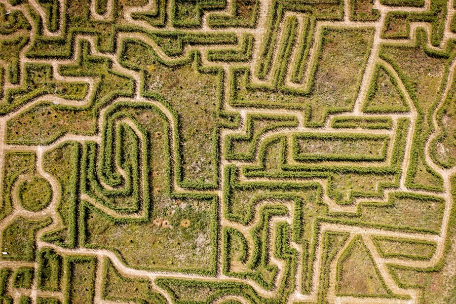 An aerial view of a complex hedge maze