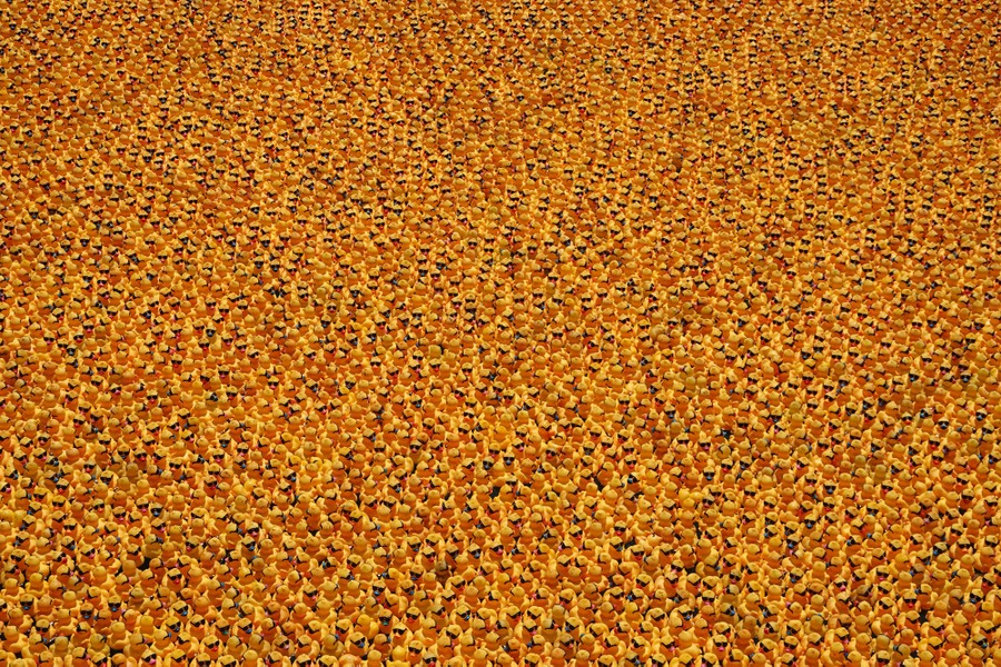 Thousands of yellow rubber ducks float in the Chicago river.
