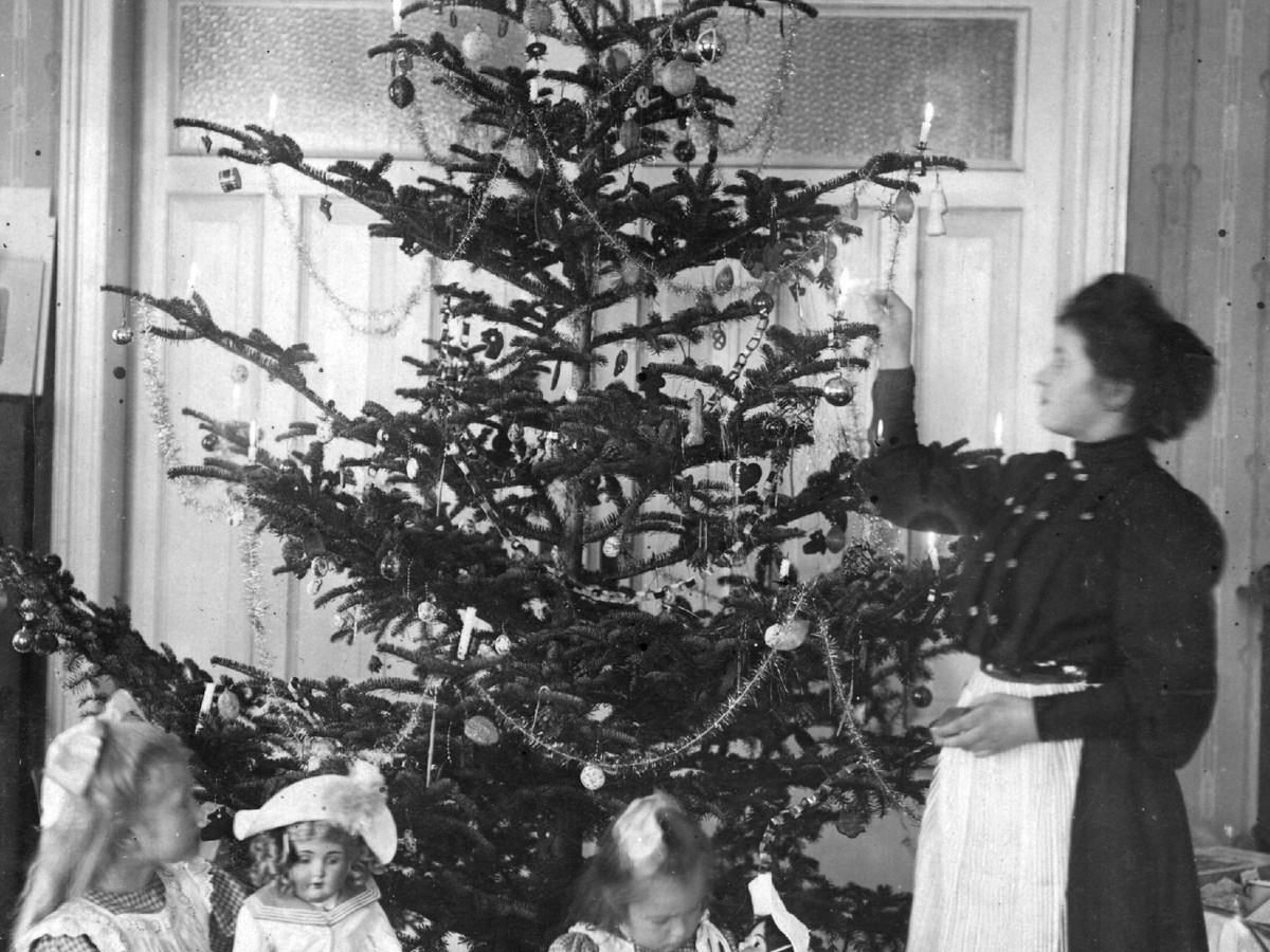 Christmas Tree Lighting 2022 Trump Leaves Abruptly How The Christmas Tree Got Its Lights - The Atlantic