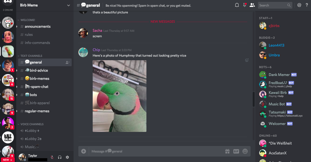 Discord create a group chat