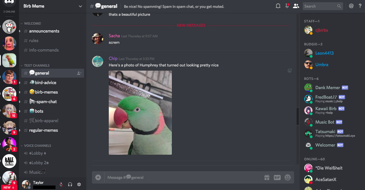 Different Profile Pictures per Discord Server? 