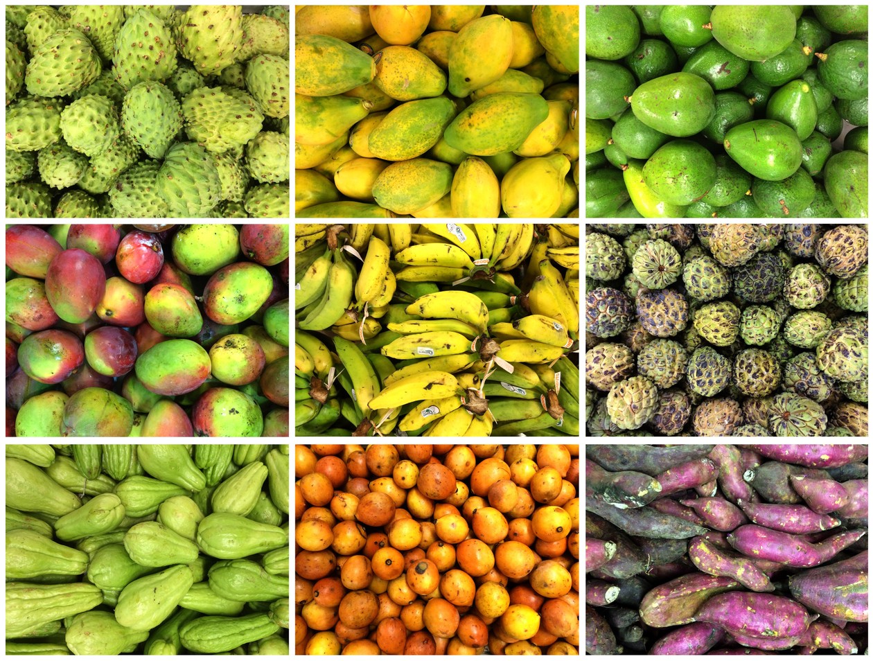 Brazil's New Food Guide Encourages Eating Traditional Foods and