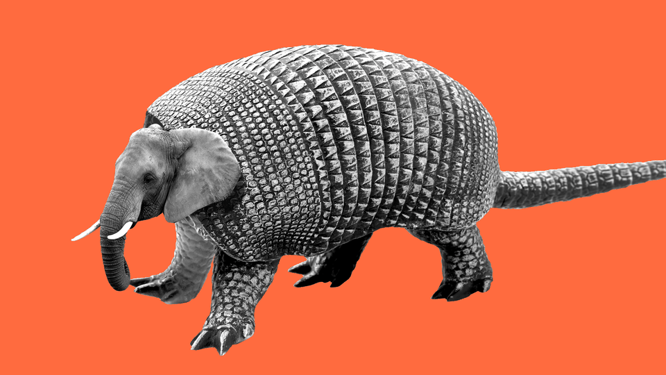 Elephant in armadillo armor