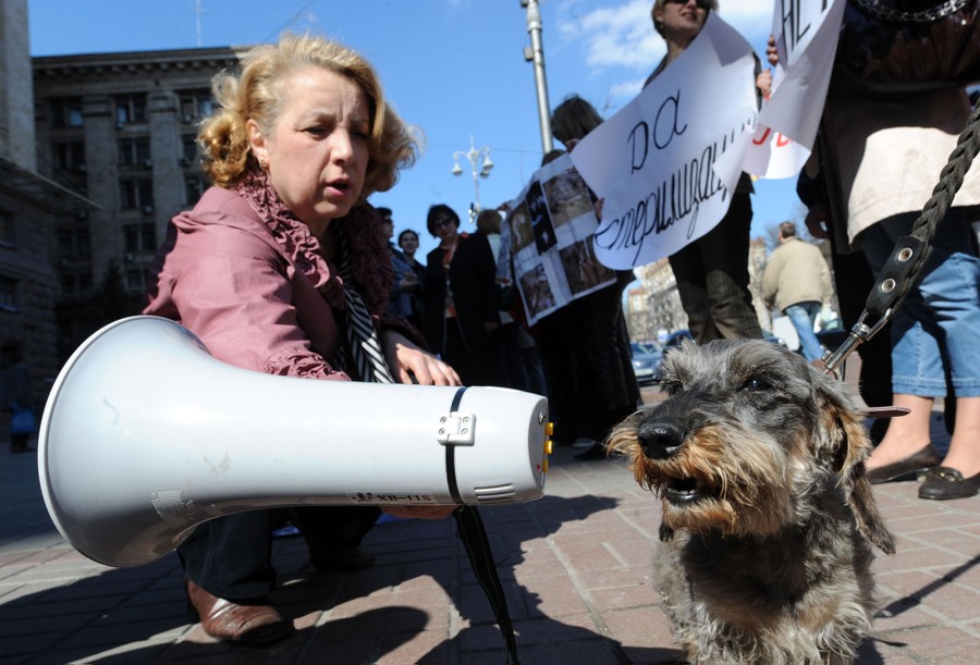 Sound Bites Dogs on the Microphone The Atlantic