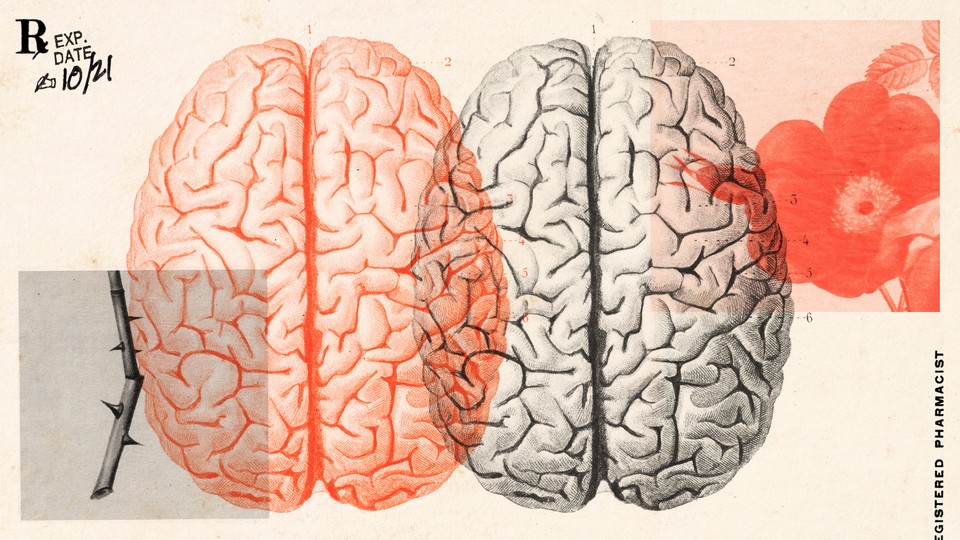 An red-and-black duo-tone illustration of two brains, with images of a flower and thorns overlayed on top of them