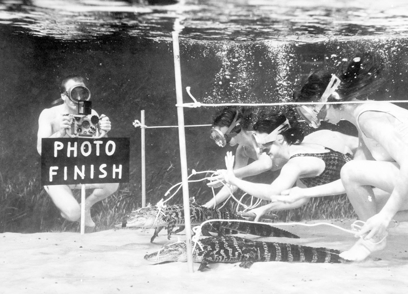Several people pose in a photograph, depicting an alligator race underwater, with one of the people playing a photographer sitting behind a sign that reads